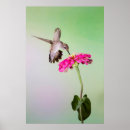 Search for davies posters Bird