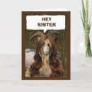 Search for step sister birthday cards Sister in law