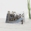 Search for pond christmas cards Frozen