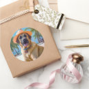 Search for dog on beach stickers Summer