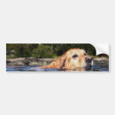 Search for dog bumper stickers Retriever