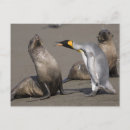 Search for georgia postcards Wildlife