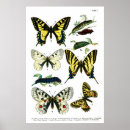 Search for i x posters Colourful