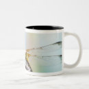 Search for 2 tone coffee mugs Flower