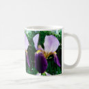 Search for wild iris mugs Nature