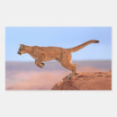 Search for red rock stickers Horizontal