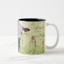 Search for cow calf mugs Agriculture