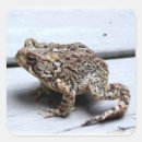 Search for toad stickers Nature