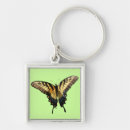 Search for beautiful butterflies key rings Nature