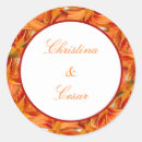 Search for orange tiger stickers Stripes