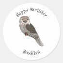 Search for tawny stickers Bird