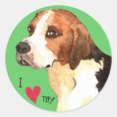 Search for foxhound stickers Hunting dog