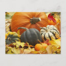 Search for first halloween postcards Pumpkins