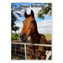 Search for bay horse cards Animal