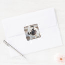Search for tilt stickers Animal