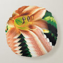 Search for daylily Nature