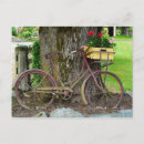 Search for old bikes postcards Vintage