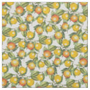 Search for citrus fabric Orange