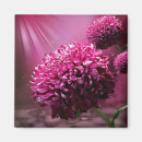Search for drop magnets Pink
