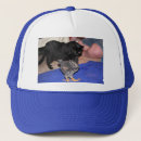 Search for watchers hats Cute