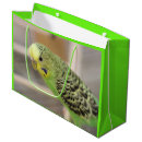 Search for budgie crafts party Parakeets