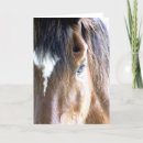 Search for facing cards Horse