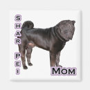 Search for pei magnets Chinese