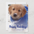 Search for golden retriever puppies postcards Merry christmas
