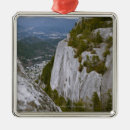 Search for low angle view christmas tree decorations Destinations