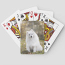 Search for furry playing cards Puppy
