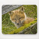 Search for heads of state mousepads Horizontal