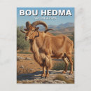 Search for bou Travel