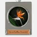 Search for birds of paradise christmas tree decorations Nature