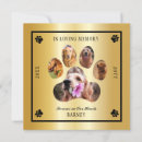 Search for announcing death of dog In loving memory