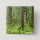 Search for olympic badges Forest