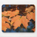 Search for maple leaves mousepads Orange