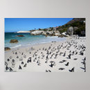 Search for penguin posters Travel