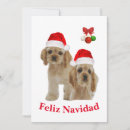 Search for feliz navidad invitations Mexican