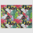 Search for parrot tissue paper Parakeet