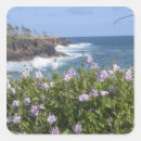 Search for kauai hawaii stickers Pacific ocean