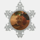 Search for orange kitten christmas tree decorations Tabby