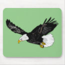 Search for eagle eye electronics Eyes