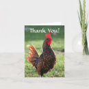 Search for funny chicken thank you cards Thanks