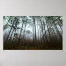 Search for morning mist Winter