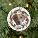 Search for great dane christmas tree decorations Dog