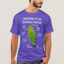 Search for eclectus parrot Nature