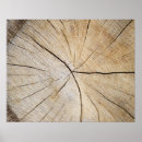Search for tree trunks posters Woods
