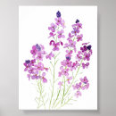 Search for wallflower posters Watercolor