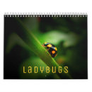 Search for ladybug calendars Animal