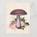 Search for vintage mushrooms postcards Cottage core